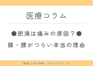 膝痛・腰痛が治らない原因は体重かも？肥満と関節痛の関係